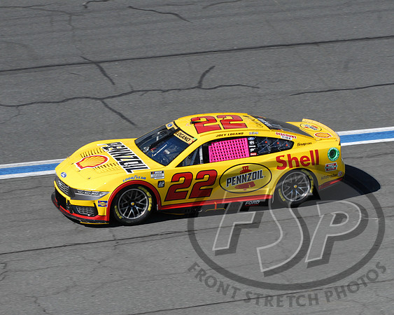 Joey Logano