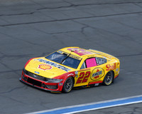 Joey Logano