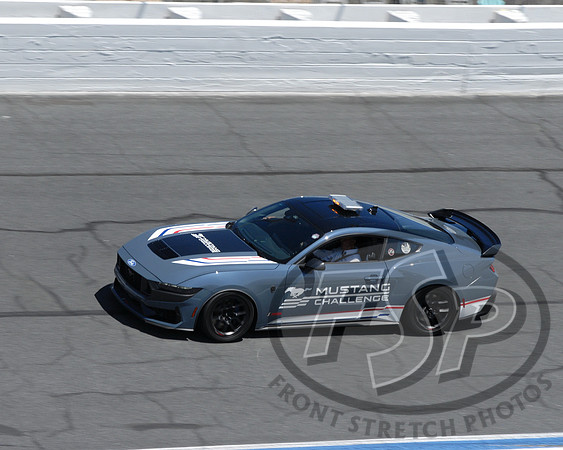 Darkhorse Mustang Pacecar