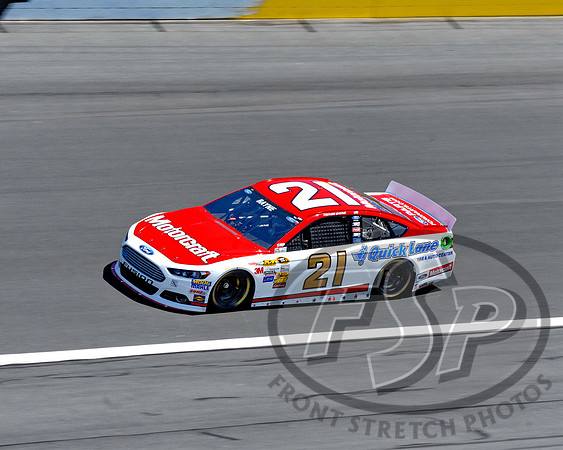 Trevor Bayne