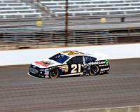 Trevor Bayne