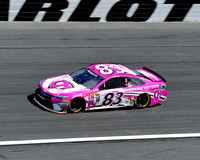 Matt Dibendetto