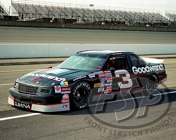 Dale Earnhardt