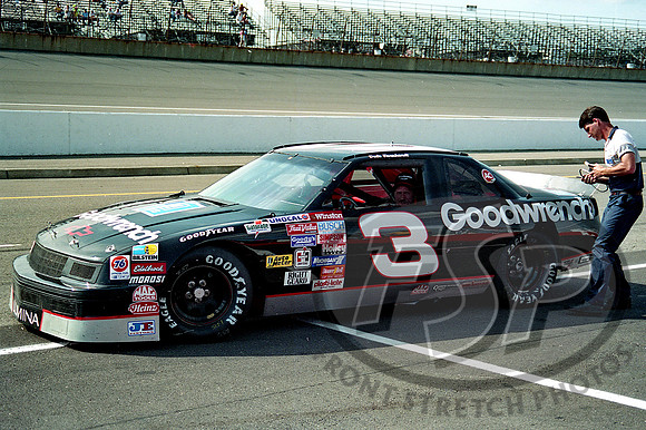 Dale Earnhardt