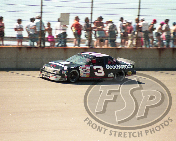 Dale Earnhardt