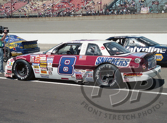 Rick Wilson