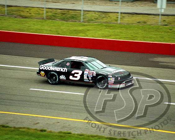 Dale Earnhardt