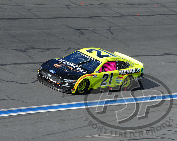 Matt Dibenedetto