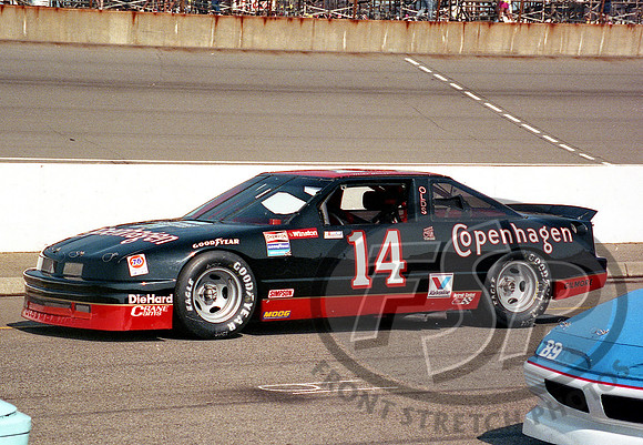 Mike Chase