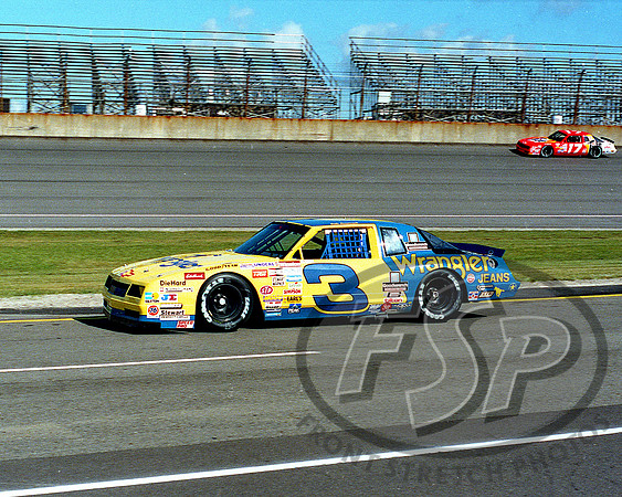 Dale Earnhardt